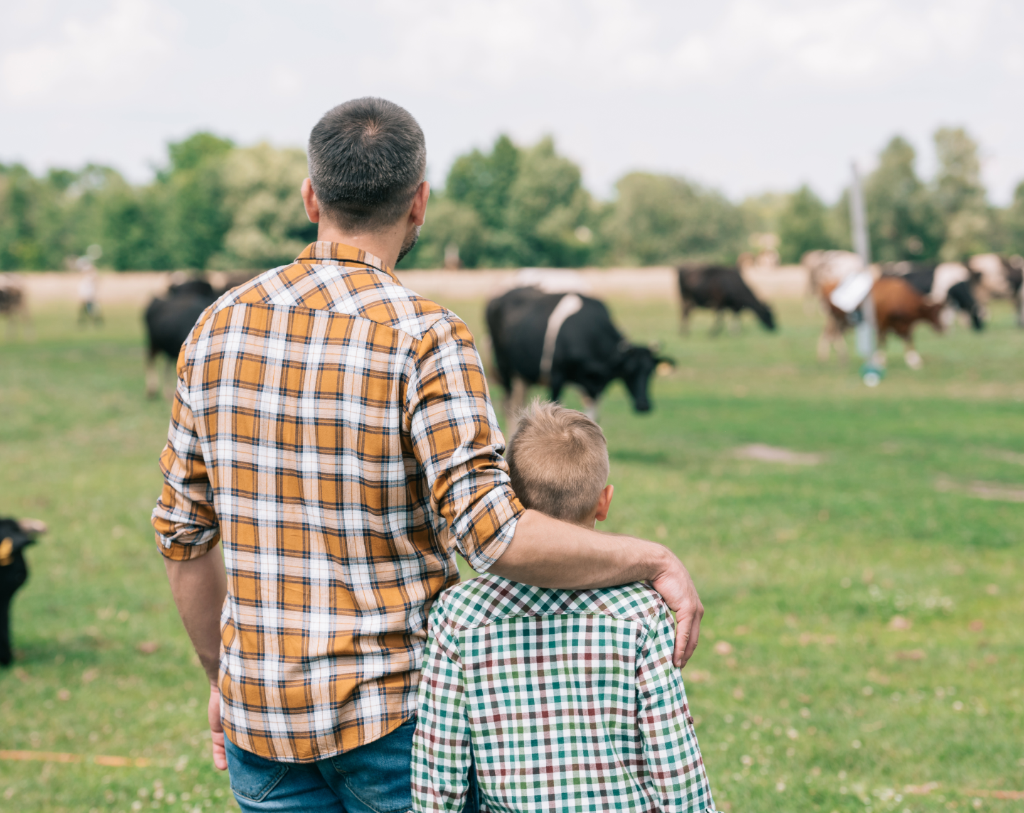 Father and son in a cow pasture